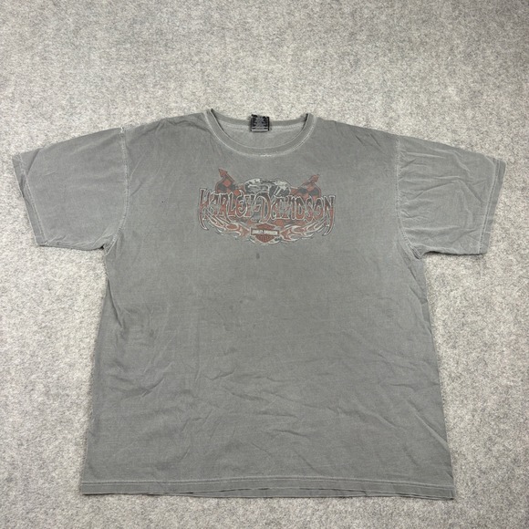 Harley-Davidson Other - Vintage Y2K Harley Davidson Graphic T-Shirt Mens XL Gray Distressed Faded Biker